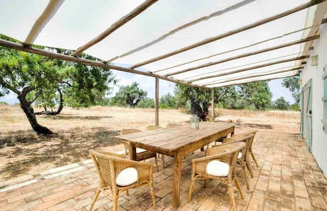 Morgado do Quintao - Foto 22