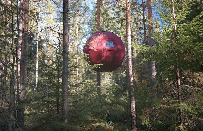 Näsets Marcusgård - Photo 7