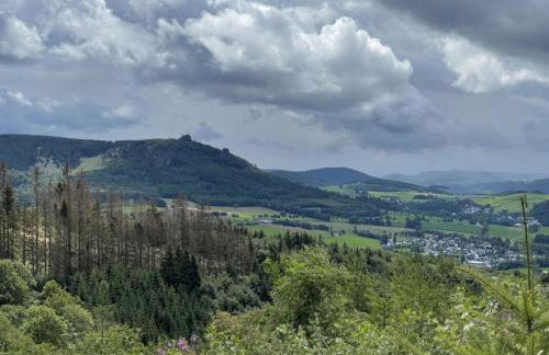 Holiday home Berghouse Elleringhausen - Foto 29