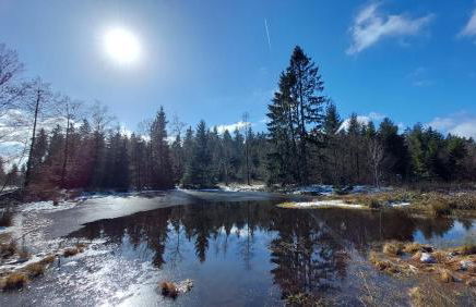 Fewo Silberborn - Weserbergland (Fam. Oehler) - Foto 36