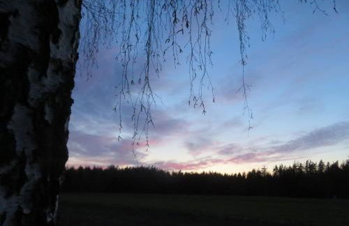 Ferienhaus Waldblick - Foto 36