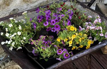 Casa da Fonte - Foto 24