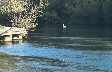 Studio La Marne Paris - Foto 21