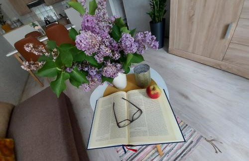 Apartament Wągrowiec, Gabi - Remigiusz Kiszka - Foto 9