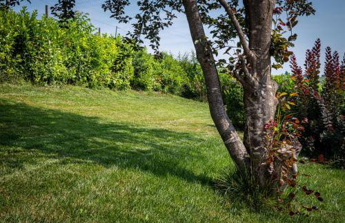 Villa con piscina e intera struttura a uso esclusivo casa del moré - Photo 32