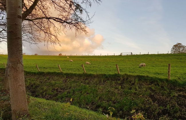 Holiday Home Deichblick 58 - Foto 32