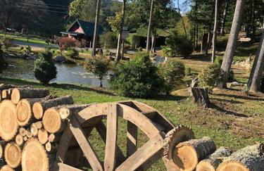 Petting Zoo! Hot Tub, 15 acres, stream & Romance! - Foto 3