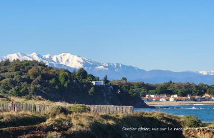 BAMBOU SERENITE ECO LOGIS -Piscine - Foto 35