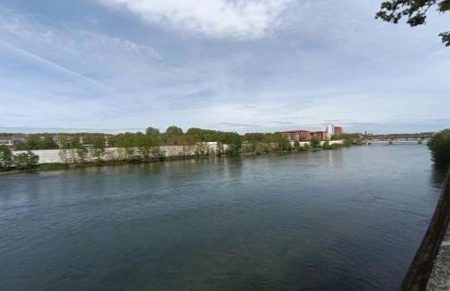 T3 Lumineux - Berges de la Garonne - Parking - Photo 22