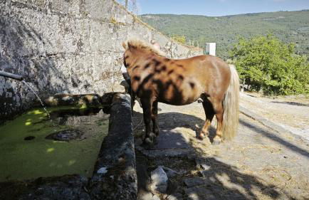 Casa do Apeadeiro - Foto 32