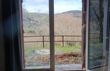 O Salgueiral - Foto 23