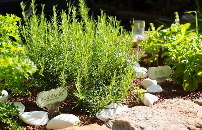 Adina Apartment Hotel Budapest - Foto 9