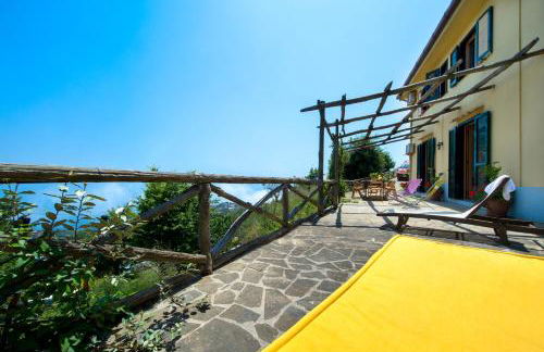 Agriturismo Fattoria Terranova - Foto 152