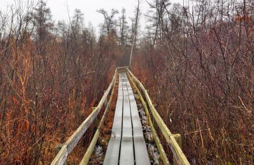 Secluded Lake Retreat - Private Beach, Pier & Fire Pit - Photo 12