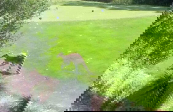 Joondalup Golf Retreat - Photo 23