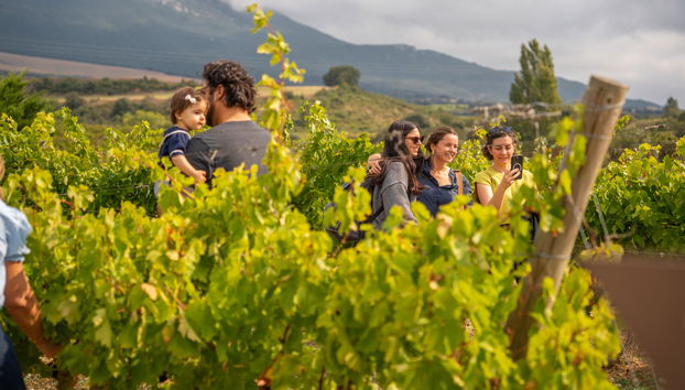 Bodegas Lozano - Foto 2