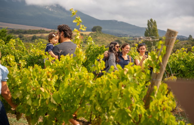 Bodegas Lozano - Foto 2