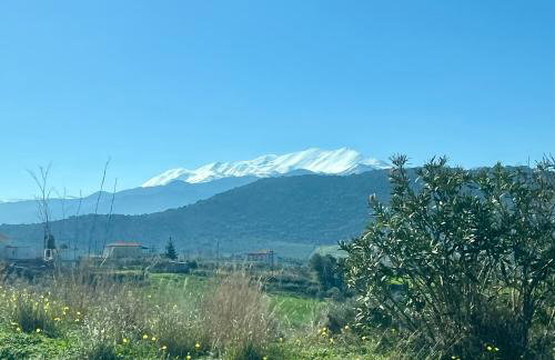 Selena Beach Front Loft with private heatable Pool - Foto 47