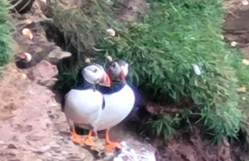 Cater Tober Haven - Photo 17