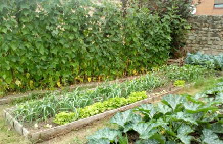 La Casa de Consuelo 3 - Foto 28