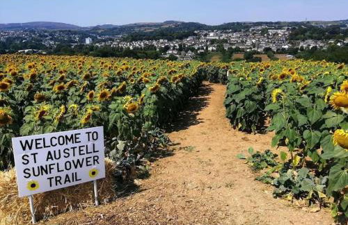 Bells Cottage - Explore Cornwall by rail - Foto 61