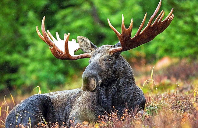 Holiday Home in SÃ¤len - Foto 3