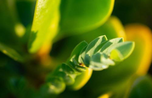 Le Portail d'Airain - Foto 57