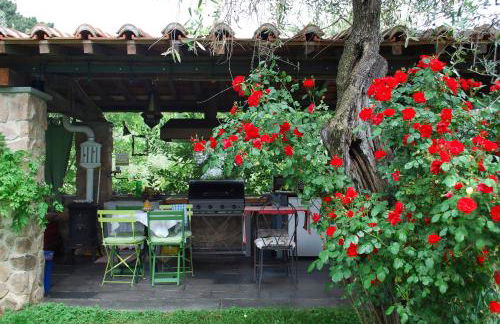 Azienda agricola Della Mezzaluna - Foto 47