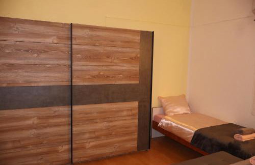 Dalmatian - Photo 52