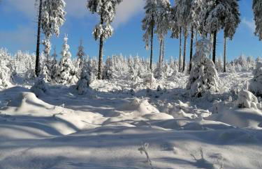 Ferienwohnung Katrin Spindler - Photo 45