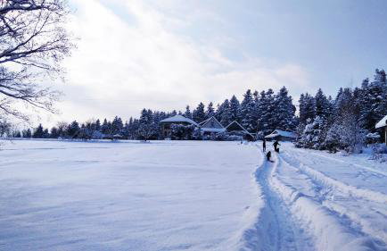 ZALASEK Gospodarstwo Agroturystyczne z Alpakami - Foto 34