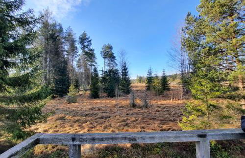 Appartement 13 im Haus Dreisessel - Foto 34