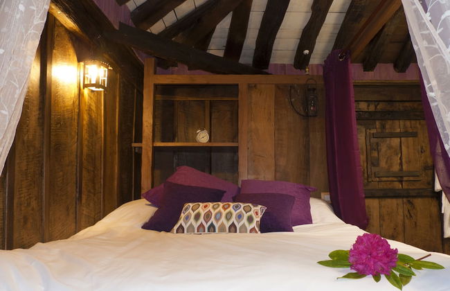 El Bosque de las Viñas - Foto 4