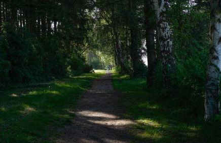 Ferienhaus Blaue Lagune am Sund in Stahlbrode - Foto 19