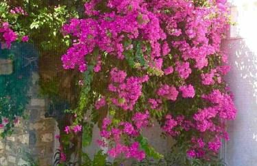 Hydra's Hidden Gem - Foto 31