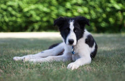 Casa Rural Rebost - Foto 28