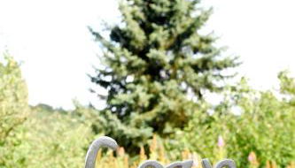 Talblick 2 - Ihr Ferienhaus mitten im idyllischen Tal - Foto 5