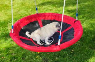 Agroturystyka u Janeckich - Foto 20