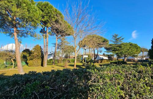 Galactic Sea - Foto 71