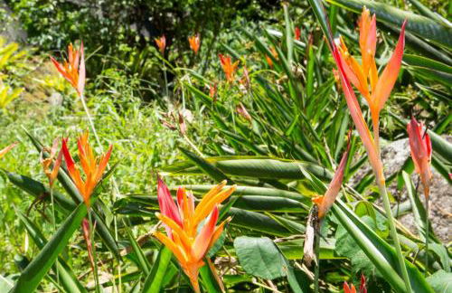 Casa Grande Flats - Foto 23