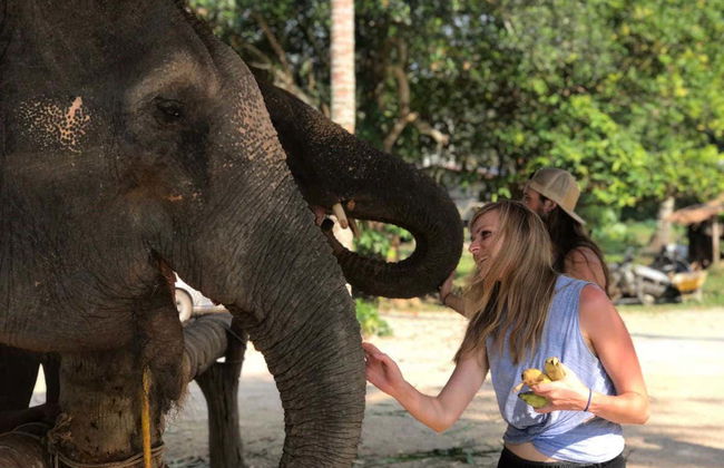 Escursione al santuario degli elefanti di Ao Nang - Foto 10