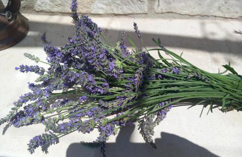 Kuća za odmor Skalina - Sea view - Photo 4