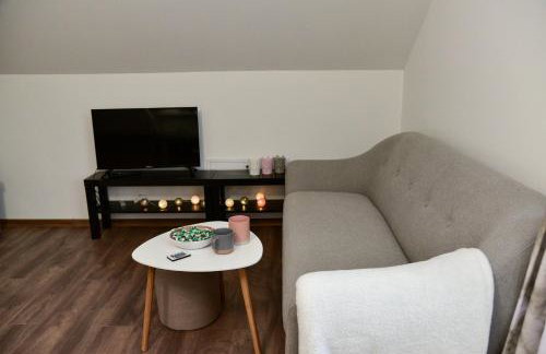 Tesla Coil Apartments - Photo 17