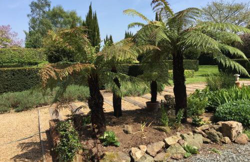 The Hen House - Foto 15