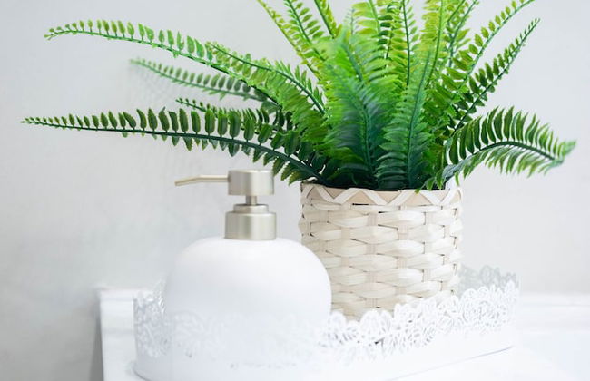 Bondi Beach Oasis - Foto 16