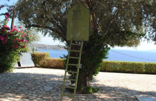 Villa Thea - Foto 27