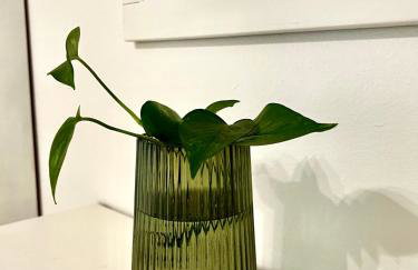 Casa Curiosa - Foto 14