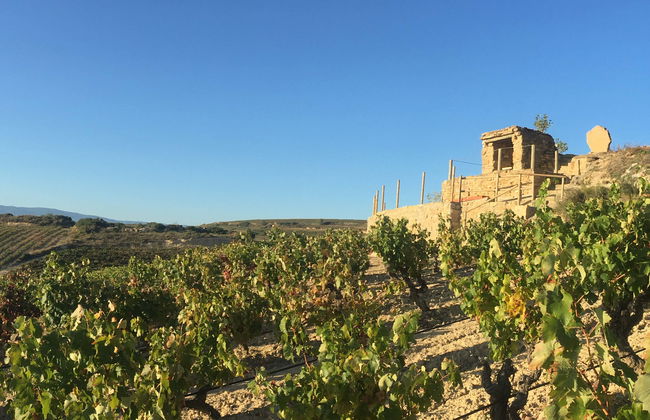 Bodegas Loli Casado Winery Tour - Foto 1