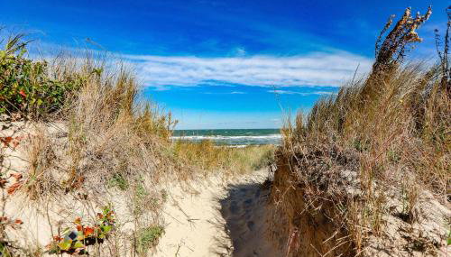 1866 EOV Dune Suite - Photo 5