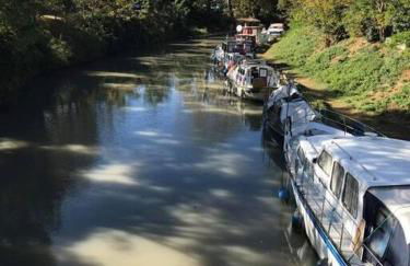 Historic French townhouse - Foto 40